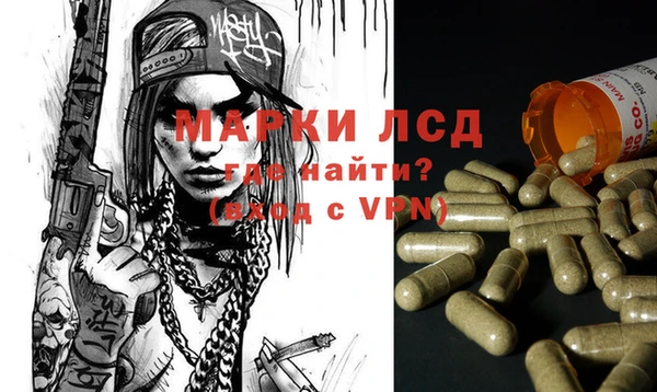 сатива Аркадак