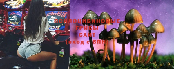 соль ск Алексин