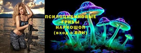 сатива Аркадак